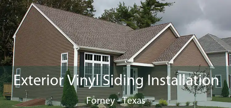 Exterior Vinyl Siding Installation Forney - Texas