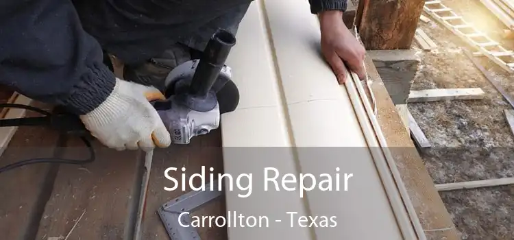 Siding Repair Carrollton - Texas