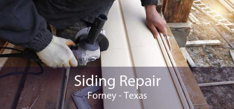 Siding Repair Forney - Texas