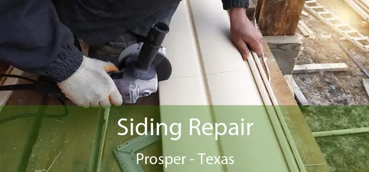 Siding Repair Prosper - Texas