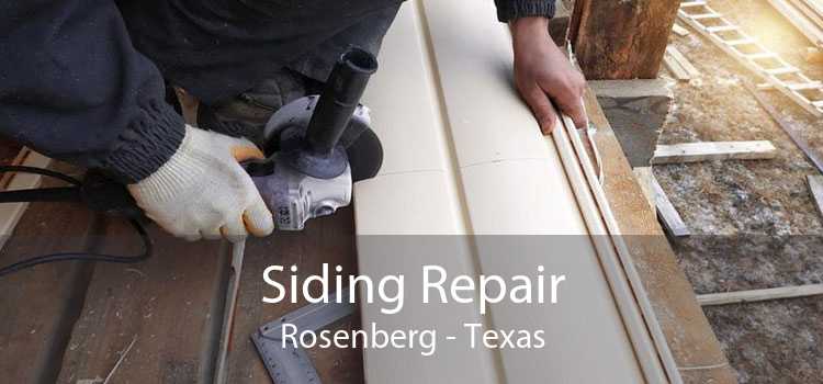 Siding Repair Rosenberg - Texas