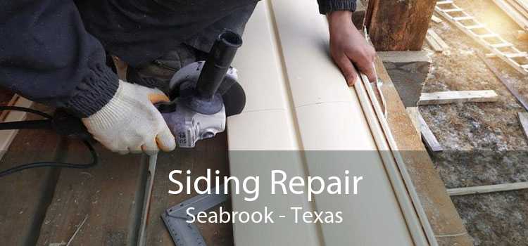 Siding Repair Seabrook - Texas