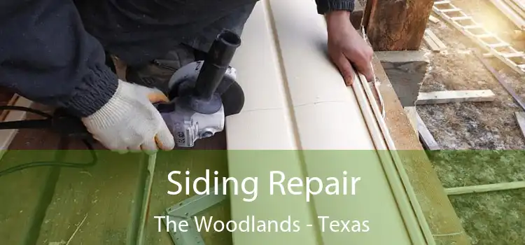 Siding Repair The Woodlands - Texas