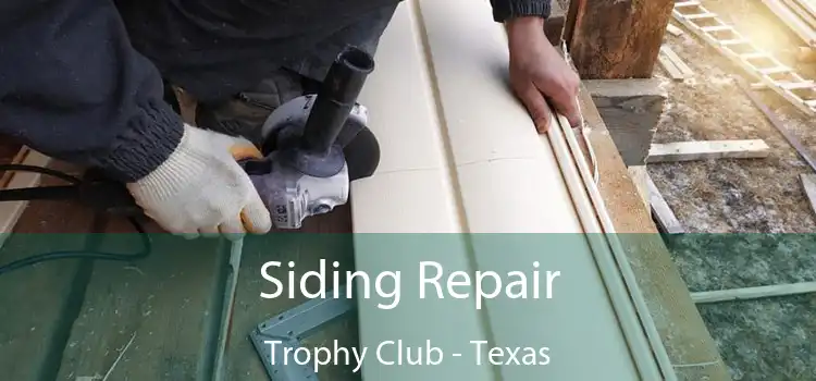 Siding Repair Trophy Club - Texas