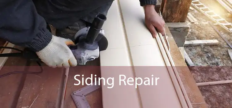 Siding Repair