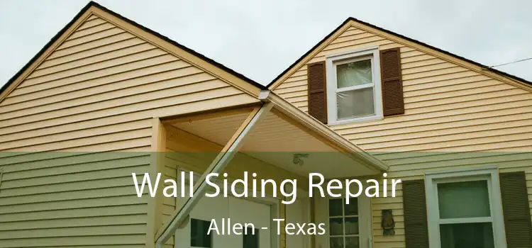 Wall Siding Repair Allen - Texas