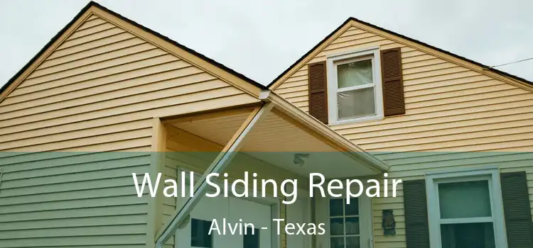 Wall Siding Repair Alvin - Texas