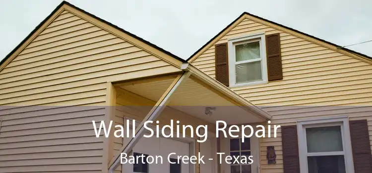 Wall Siding Repair Barton Creek - Texas