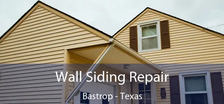 Wall Siding Repair Bastrop - Texas