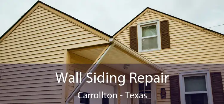 Wall Siding Repair Carrollton - Texas