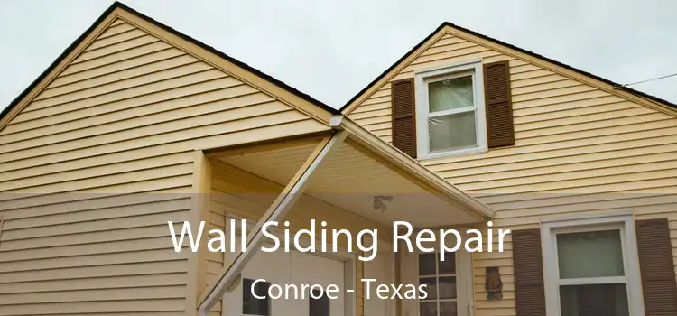 Wall Siding Repair Conroe - Texas