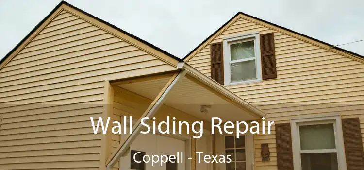 Wall Siding Repair Coppell - Texas