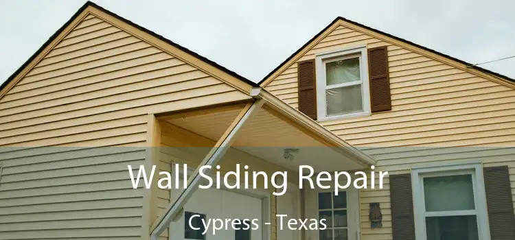 Wall Siding Repair Cypress - Texas