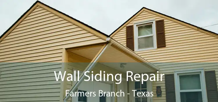 Wall Siding Repair Farmers Branch - Texas