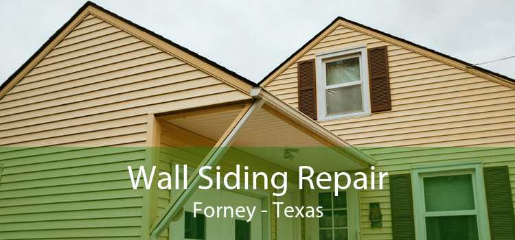 Wall Siding Repair Forney - Texas