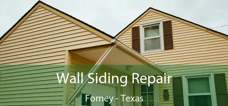 Wall Siding Repair Forney - Texas
