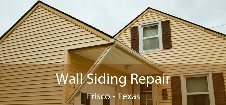 Wall Siding Repair Frisco - Texas