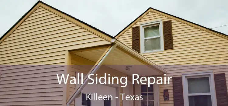 Wall Siding Repair Killeen - Texas
