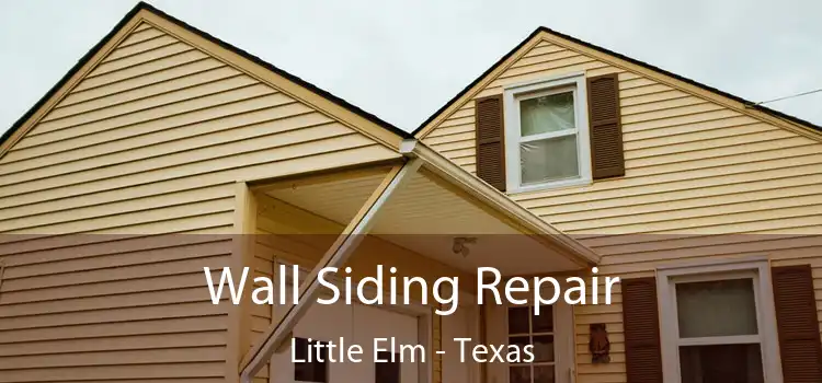 Wall Siding Repair Little Elm - Texas