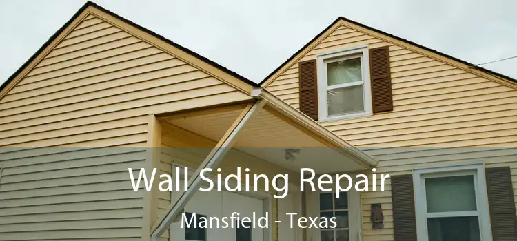Wall Siding Repair Mansfield - Texas
