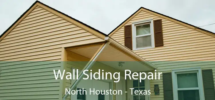 Wall Siding Repair North Houston - Texas