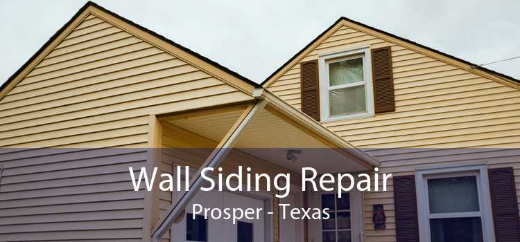 Wall Siding Repair Prosper - Texas