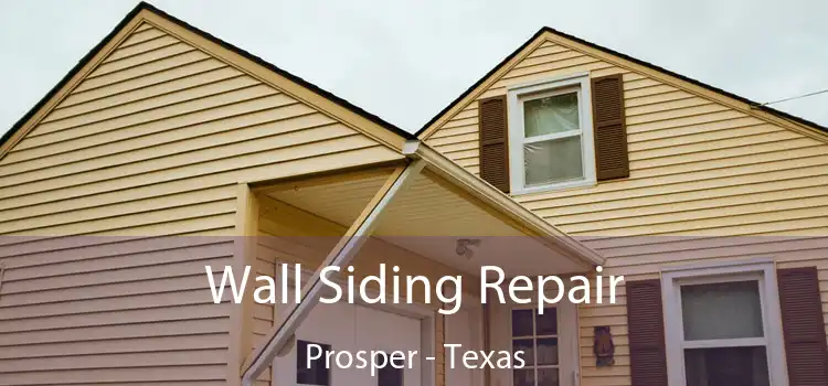 Wall Siding Repair Prosper - Texas