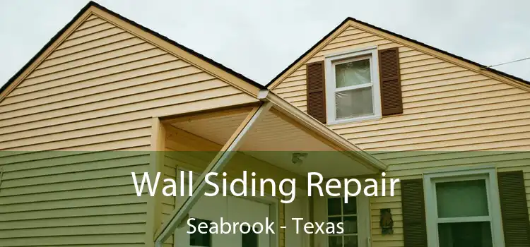Wall Siding Repair Seabrook - Texas