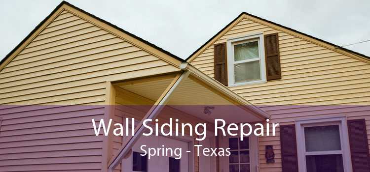 Wall Siding Repair Spring - Texas