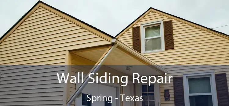 Wall Siding Repair Spring - Texas