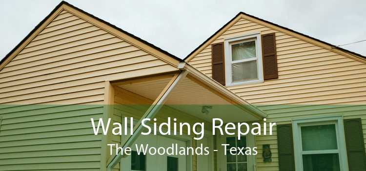 Wall Siding Repair The Woodlands - Texas