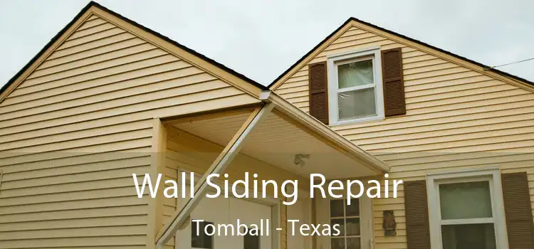 Wall Siding Repair Tomball - Texas