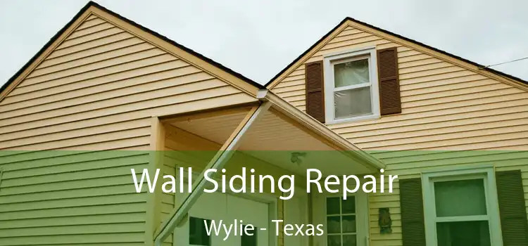 Wall Siding Repair Wylie - Texas