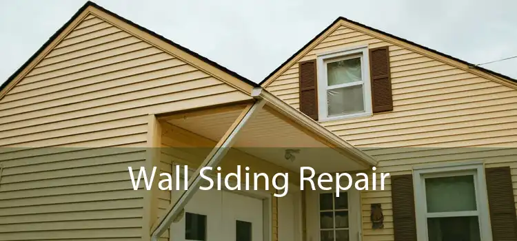 Wall Siding Repair