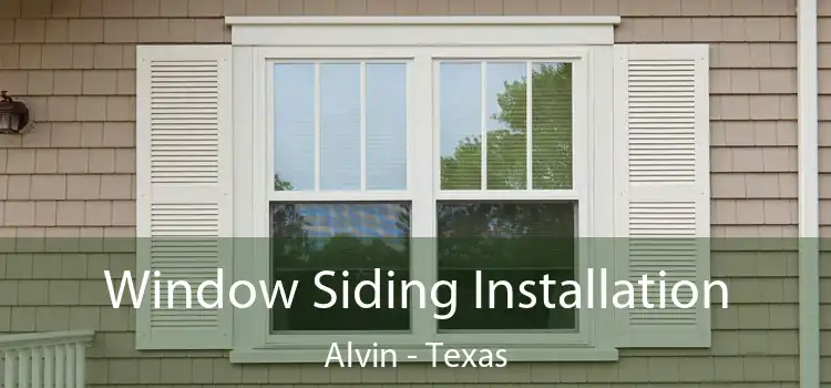 Window Siding Installation Alvin - Texas