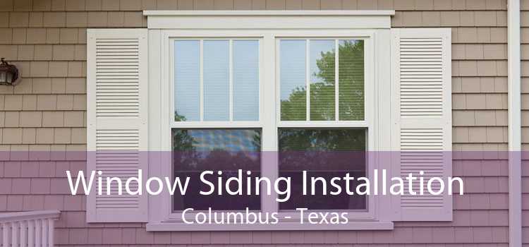 Window Siding Installation Columbus - Texas