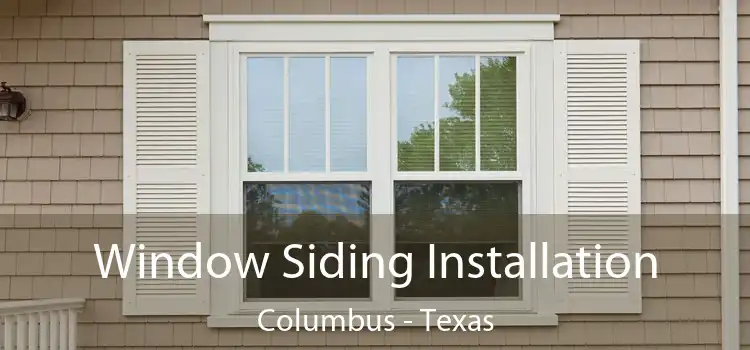 Window Siding Installation Columbus - Texas