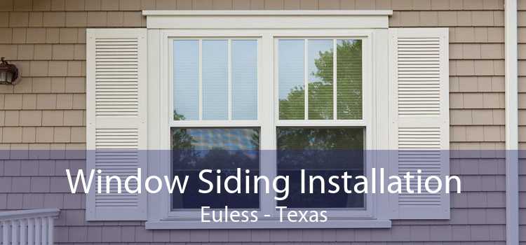 Window Siding Installation Euless - Texas